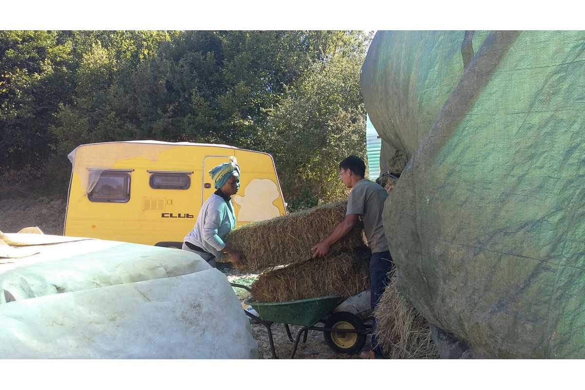 Campo di Amatrice - Lavori in corso